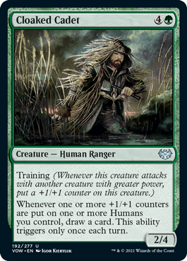 spoiler-vow-cloaked-cadet