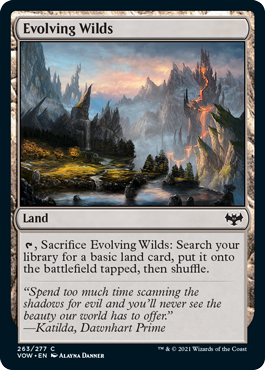 spoiler-vow-evolving-wilds