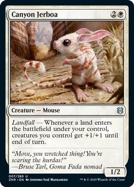 spoiler-znr-canyon-jerboa