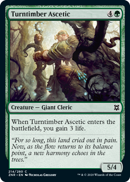 spoiler-znr-turntimber-ascetic