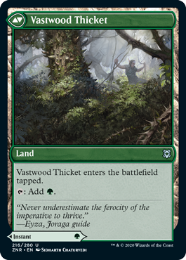 spoiler-znr-vastwood-thicket