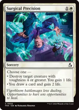 spoiler-fra-surgical-precision