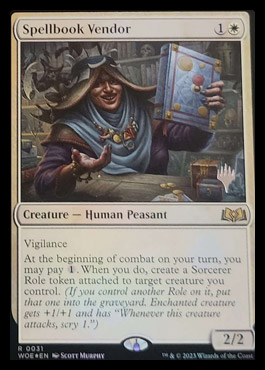 spoiler-woe-spellbook-vendor